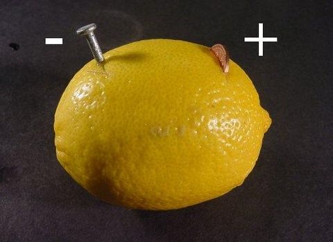 Батарея из лимона